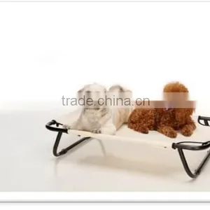 Lassie thumbnail-3