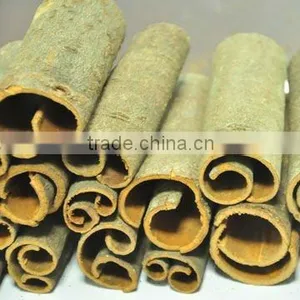 Cassia Cut thumbnail-1
