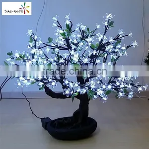 Hot Sale Mini Cherry Blossom Tree Cheap Cherry Blossom Bonsai Tree With High Quality Bonsai Tree Sale thumbnail-1