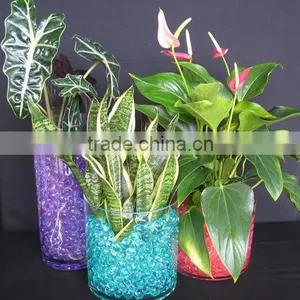 Aqua Gel Beads Gel Water Beads for Plants thumbnail-1