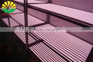 2016 Hot Sale Pink LEDs Zoo Animal Video Tube 2015 Led Pink Tube Anim Pink LED Light Source for Fresh Meat With 3 Years Warranty thumbnail-2