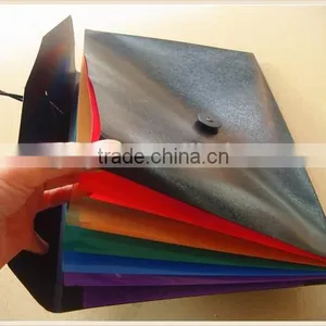 2015 PVC Decorative Expanding File Folders thumbnail-1