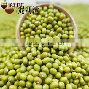 Green Mung Bean thumbnail-5