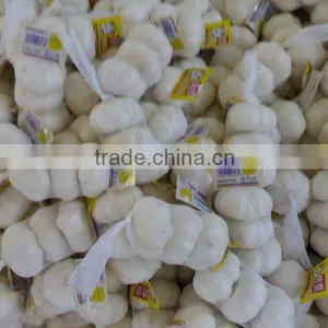 Fresh White Garlic Price thumbnail-1