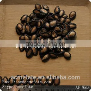 Snacks / Foodstuff / New Crop Black Watermelon Seeds A Grade thumbnail-5