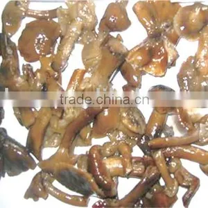 Armillariella in Brine thumbnail-1