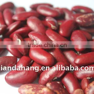 Premium Quality Dark Red Kidney Beans thumbnail-1