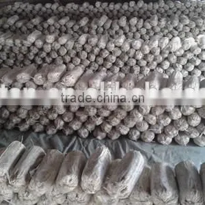King Oyster Mushroom Spawn Growing Kit thumbnail-4