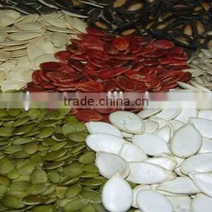 Roasted and Salted Snow White Pumpkin Seeds thumbnail-6