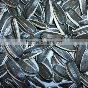 High Quality Sunflower Seeds 5009 5135(20/64,22/64,24/64) thumbnail-1