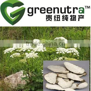 Radix Angelicae Dahuricae Extract thumbnail-1