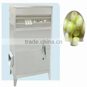 SS Onion Peeling Machine Equipment thumbnail-1