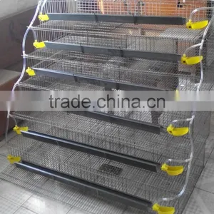 6 Floorsquail Cage for Zimbabwe Farm With Factory Prices HJ-QCX400 thumbnail-1
