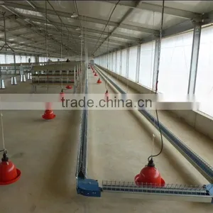 New Design Chicken Shed thumbnail-3