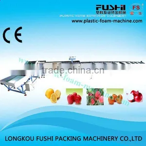 Good Quality Electronic Fruit Sorting Machine thumbnail-1