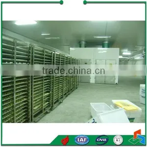 Fruit and Vegetable Tunnel Drying Machine Equipment thumbnail-3