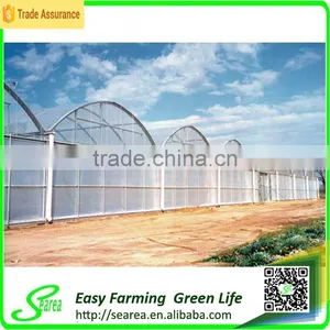 Gutter Height Commercial Polycarbonate Greenhouse for Used thumbnail-4