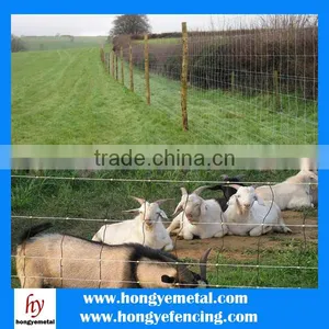 China Manufacturer Cheap Cattle Fence And Hinge Joint Field Fence( OEM&ODM ) thumbnail-4