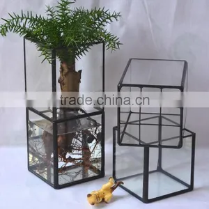 Latest Design Rectangular Terrarium Hydroponic Glass Containers thumbnail-1