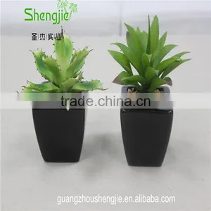 SJLJ013384 Artificial Plant / Fake Plastic Succulent Plant for Office / Restaurant Decoration thumbnail-6