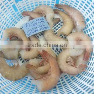 Shrimps - Metapenaeus Affinis thumbnail-2