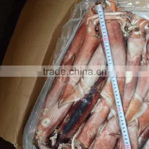 200-300g Frozen Seafood Japanese Flying Squid thumbnail-2