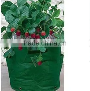 Cheap Environmental Handled Plastic Plant Grower Bags thumbnail-2