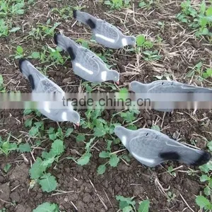 PIGEON DECOY BIRD PAINTED SHELL HIGH QUALITY thumbnail-5