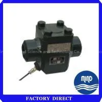 ZJK-DXF Electronic High-Pressure Check Valve (Feedback) thumbnail-1