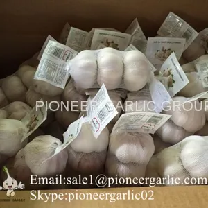 Chinese Fresh Normal White Garlic Small Packing thumbnail-1