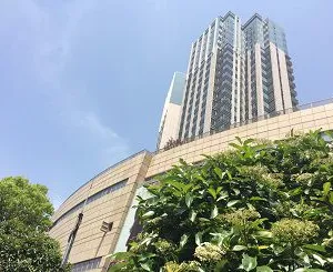 Donghai County WONYUAN Industry And Trade Co.,Ltd company overview - view 1 thumbnail