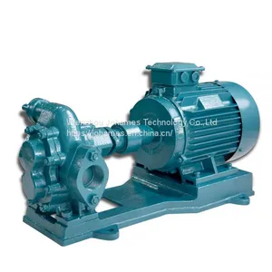 High Viscosity Stainless Steel Gear Oil Pump thumbnail-1
