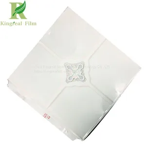 Clear Transparent Self Adhesive Protective Film for Aluminum Ceiling thumbnail-2