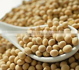 NONE GMO Soybean From China thumbnail-1