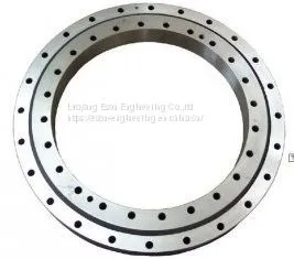 50~10000 mm High Hardness Flange Turntable Bearings for Playground Facilities thumbnail-2