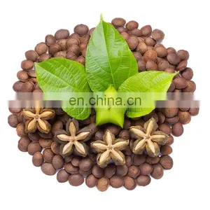 SELLING RAW DRIED SACHA INCHI NUTS FROM VIETNAM thumbnail-1