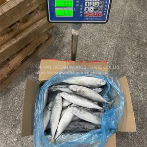 Pacific Mackerel 100-200 thumbnail-2