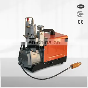 Bison China 300Bar 4500 Psi High Quality Electric Mini Soundless Pcp Inflation Air Compressor For Airgun thumbnail-1