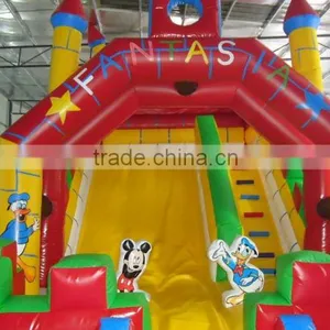 Best Quality Inflatable Water Slides Giant Inflatable Water Slide for Adult thumbnail-4