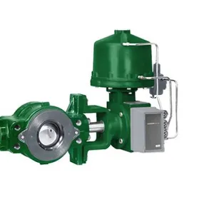 Fisher™ V250 Control Valve Specifications thumbnail-1