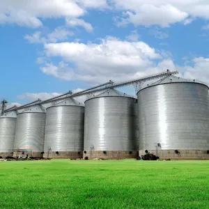 450g Galvanized Hopper Bottom Grain Silo for Corn Wheat Rice Soybean Paddy Grain Storage System thumbnail-5