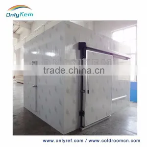 Hot Sale Meat Walk in Chiller for Family thumbnail-3