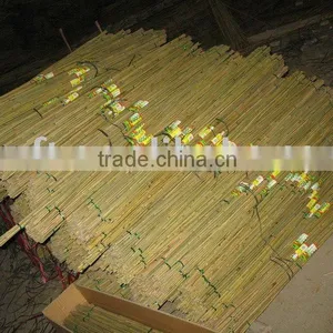 Bamboo Pole thumbnail-1