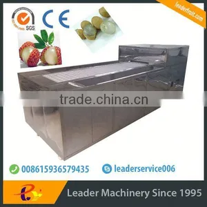 Big Capacity Lychee Process Line Website:leaderservice006 thumbnail-1