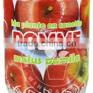 Can Flower of Apple thumbnail-1
