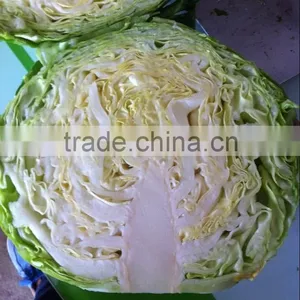 Fresh Chinese Cabbage thumbnail-1
