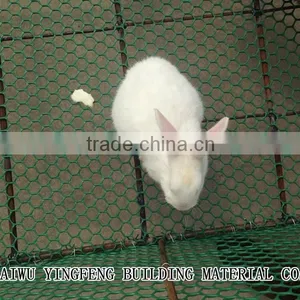 Plastic Poultry Net thumbnail-3