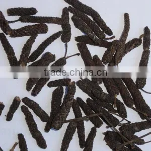 Long Pepper thumbnail-1