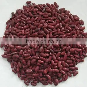 2013 Crop Canada Red Kidney Beans thumbnail-1