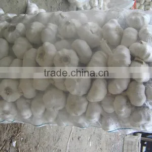 Chinese New White Garlic thumbnail-5